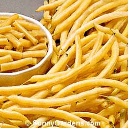 Phaseolus vulgaris, Wax Beans, Yellow Snap Beans, Pink Beans