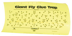 Giant Fly Glue Trap