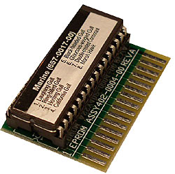 Marine Chip