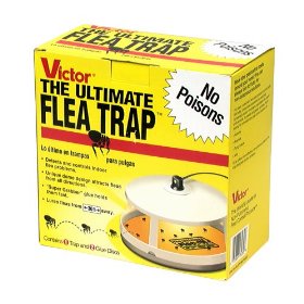 BUY Victor Ultimate Flea Trap