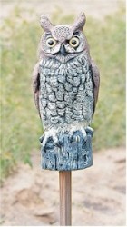 BUY Horned Owl Decoy