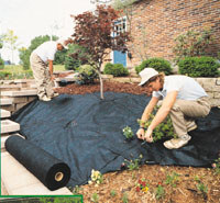 BUY Weed Barrier - 3 ft. x 50 ft. roll