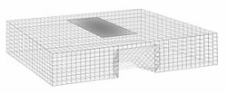 Live Trap for Pigeons